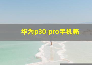 华为p30 pro手机壳